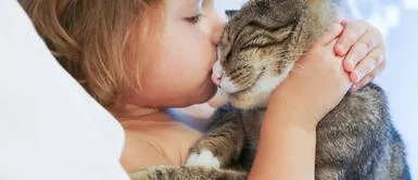 ¿A los gatos les gustan los besos?, la ciencia te responde ¿A los gatos les gustan los besos?, la ciencia te responde