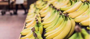 ¿Desaparecerá? El plátano está en peligro de extinción ¿Desaparecerá? El plátano está en peligro de extinción