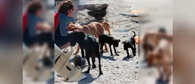 ¡El karma existe! Mujer muere tras ingerir pastillas que compró para envenenar a unos perros ¡El karma existe! Mujer muere tras ingerir pastillas que compró para envenenar a unos perros