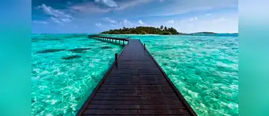 3. COCOA: La isla forma parte de las Islas Maldivas y sin lugar a dudas es uno de los paraísos que hay que visitar al menos una vez en la vida. 3. COCOA: La isla forma parte de las Islas Maldivas y sin lugar a dudas es uno de los paraísos que hay que visitar al menos una vez en la vida.