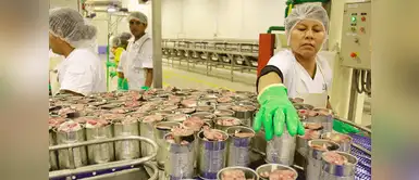 Facebook: emiten alerta por conservas de caballa con parásitos en Perú ¡Sácalas de tu cocina! Facebook: emiten alerta por conservas de caballa con parásitos en Perú ¡Sácalas de tu cocina!