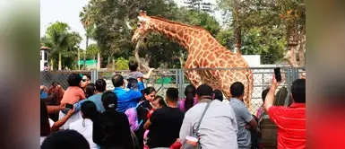 ¡Incendio en Parque de las leyendas! Bomberos controlan siniestro en juegos mecánicos ¡Incendio en Parque de las leyendas! Bomberos controlan siniestro en juegos mecánicos