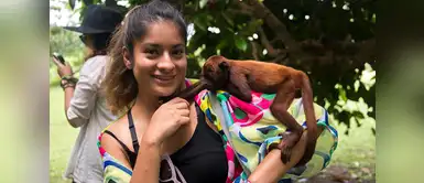 La Isla de los Monos: Un mágico lugar en Iquitos La Isla de los Monos: Un mágico lugar en Iquitos