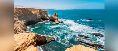 Facebook: Viaja todo pagado a un campamento en la Reserva Nacional de Paracas con este concurso Facebook: Viaja todo pagado a un campamento en la Reserva Nacional de Paracas con este concurso