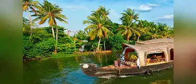 La selva es uno de los lugares más hermosos del Perú. Atrapalo.pe te ofrece vuelos a Tarapoto desde USD$48 ida y vuelta. La selva es uno de los lugares más hermosos del Perú. Atrapalo.pe te ofrece vuelos a Tarapoto desde USD$48 ida y vuelta.