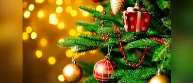 Cinco jóvenes mueren decorando árbol de Navidad Cinco jóvenes mueren decorando árbol de Navidad