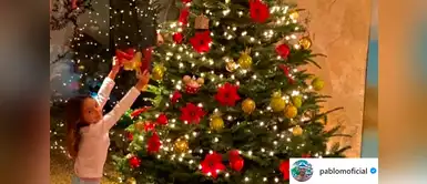Pablo Montero prefirió un pino natural para el deleite de sus princesas. La pequeña Carolina posa sonriente, terminando de decorar el árbol. Pablo Montero prefirió un pino natural para el deleite de sus princesas. La pequeña Carolina posa sonriente, terminando de decorar el árbol.