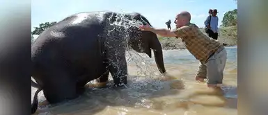 Viaje gratis a Tailandia para acampar y cuidar elefantes en riesgo Viaje gratis a Tailandia para acampar y cuidar elefantes en riesgo