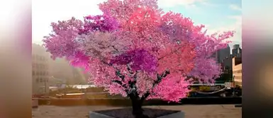 Crean un árbol que da 40 tipos de frutas ¡Impresionante! Crean un árbol que da 40 tipos de frutas ¡Impresionante!