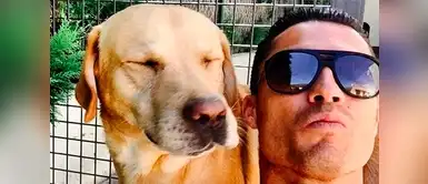 El crack portugués, Cristiano Ronaldo, tiene tres perros: un precioso labrador blanco llamado Bobby Moore, otra labrador llamada Marosca y una perrita Yorkshire, llamada Abelhinha. El crack portugués, Cristiano Ronaldo, tiene tres perros: un precioso labrador blanco llamado Bobby Moore, otra labrador llamada Marosca y una perrita Yorkshire, llamada Abelhinha.