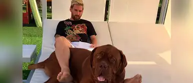 El crack argentino, Lionel Messi, es otro amante de los perros. Tiene dos, uno llamado Toby y un Dogo de Burdeos llamado Hulk. El crack argentino, Lionel Messi, es otro amante de los perros. Tiene dos, uno llamado Toby y un Dogo de Burdeos llamado Hulk.