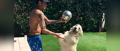 Neymar tiene un golden retriever llamado Póker, el juego de cartas que le encanta al jugador. Neymar tiene un golden retriever llamado Póker, el juego de cartas que le encanta al jugador.
