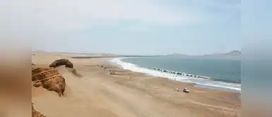 Cabeza de León se encuentra a diez minutos de distancia del centro de Huacho, está playa es una de las más recomendadas para acampar. Cabeza de León se encuentra a diez minutos de distancia del centro de Huacho, está playa es una de las más recomendadas para acampar.