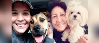 5 propósitos para ti y tu mascota en este "Año del Perro 2018" 5 propósitos para ti y tu mascota en este "Año del Perro 2018"