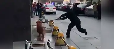 ¡Indignante! Policía es captado golpeando a un perrito hasta matarlo ¡Indignante! Policía es captado golpeando a un perrito hasta matarlo