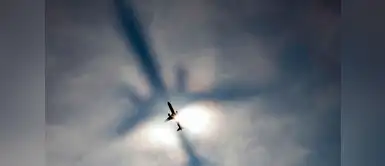 La sombra de un avión proyectada a través de una capa de niebla en el aeropuerto de Logan, Boston. La sombra de un avión proyectada a través de una capa de niebla en el aeropuerto de Logan, Boston.