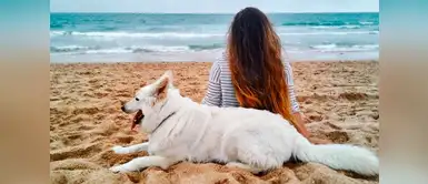 5 tips para disfrutar un día de playa con tu perrito, ¡Guau! 5 tips para disfrutar un día de playa con tu perrito, ¡Guau!