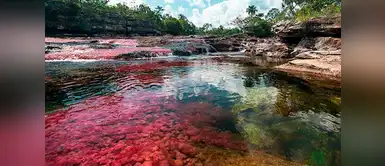 Caño Cristales en Colombia. Caño Cristales en Colombia.
