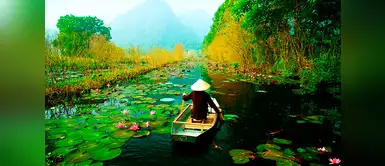 5°Lugar: Vietnam. 5°Lugar: Vietnam.