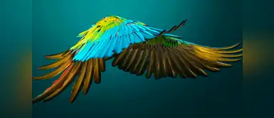 Military macaw (Ara militaris). Military macaw (Ara militaris).