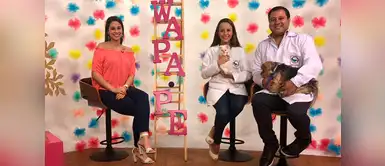 Conoce cómo cuidar a tu mascota en la temporada de verano Conoce cómo cuidar a tu mascota en la temporada de verano