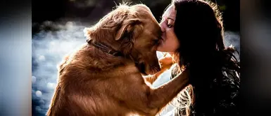 Conoce la razón de por qué tu perro te sigue a todas partes Conoce la razón de por qué tu perro te sigue a todas partes