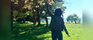 Dime en qué temporada del año naciste y te diré como es tu personalidad Dime en qué temporada del año naciste y te diré como es tu personalidad