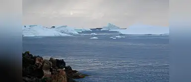 Newfoundland o Isla de Terranova es una provincia canadiense, el cual ofrece un turismo entre ballenas y e icebergs. Newfoundland o Isla de Terranova es una provincia canadiense, el cual ofrece un turismo entre ballenas y e icebergs.