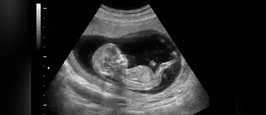 El mágico momento donde un bebé saluda a su madre desde su "baby bump" El mágico momento donde un bebé saluda a su madre desde su "baby bump"