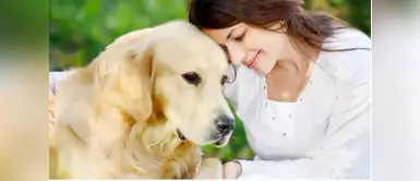 Tips para armar la mochila de emergencia para tu mascota Tips para armar la mochila de emergencia para tu mascota