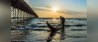 Playa Pimental - Lambayeque Playa Pimental - Lambayeque