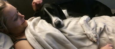 A este perrito le encanta dormir encima de la pancita de su dueña. A este perrito le encanta dormir encima de la pancita de su dueña.