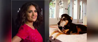 Instagram: Salma Hayek escribe tierno mensaje tras la pérdida de su perrita Lupe Instagram: Salma Hayek escribe tierno mensaje tras la pérdida de su perrita Lupe