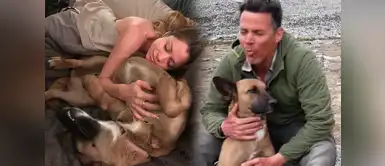 Steve-O y su novia celebran compromiso al lado de "Wendy", la perrita peruana Steve-O y su novia celebran compromiso al lado de "Wendy", la perrita peruana