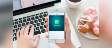 ¿Qué es el WhatsApp Business y cómo funciona? ¿Qué es el WhatsApp Business y cómo funciona?