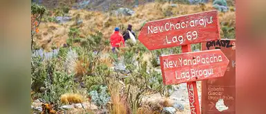El trekking hacia la laguna 69 empieza en el campamento Cebollapampa (3.900 m.s.n.m.) y tiene una exigencia entre media y alta, por lo que se sugiere estar bien aclimatado antes de iniciar la aventura. El trekking hacia la laguna 69 empieza en el campamento Cebollapampa (3.900 m.s.n.m.) y tiene una exigencia entre media y alta, por lo que se sugiere estar bien aclimatado antes de iniciar la aventura.