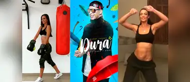 Natalie Vértiz, Zuleyka Rivera y todas las famosas que han movido las caderas al ritmo de “Dura” de Daddy Yankee Natalie Vértiz, Zuleyka Rivera y todas las famosas que han movido las caderas al ritmo de “Dura” de Daddy Yankee