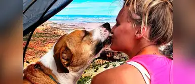 Henry ama a su dueña Benneth Henry ama a su dueña Benneth