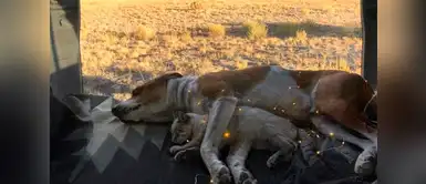 Son felices aventurándose juntos Son felices aventurándose juntos