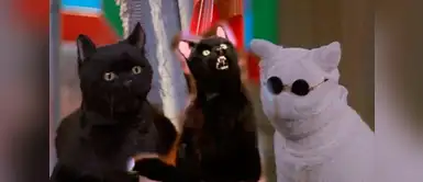 Sabrina, la bruja adolescente: Salem luce irreconocible en serie de Netflix Sabrina, la bruja adolescente: Salem luce irreconocible en serie de Netflix