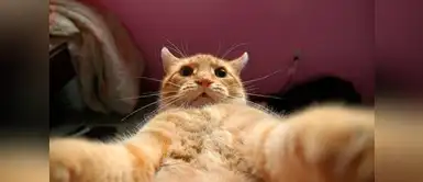 Un selfie para facebook Un selfie para facebook