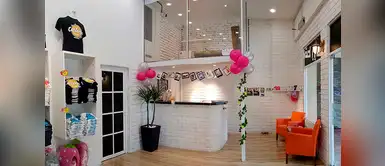 Ahora los amantes de los gatos podrán viajar y hospedarse con ellos Ahora los amantes de los gatos podrán viajar y hospedarse con ellos