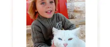 ¡Miren sus ojos! ambos comparten una heterocromía ¡Miren sus ojos! ambos comparten una heterocromía