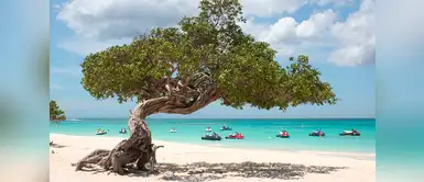 Eagle Beach de Aruba, se galardonó en el cuarto lugar Eagle Beach de Aruba, se galardonó en el cuarto lugar