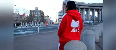 Los diseños originales con el nombre de Puma fueron reemplazados con la imagen del famoso personaje creado por Yuko Shimizu. Los diseños originales con el nombre de Puma fueron reemplazados con la imagen del famoso personaje creado por Yuko Shimizu.