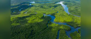 Parque nacional Corcovado (Costa Rica) Parque nacional Corcovado (Costa Rica)