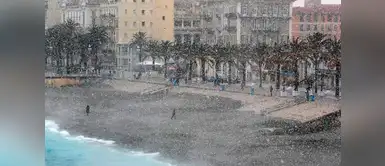 La playa de Niza se ha cubierto de nieve. La playa de Niza se ha cubierto de nieve.