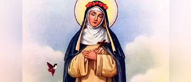 Rosa de Lima fue una de las pocas mujeres con conocimientos teológicos en una sociedad machista. También fue protagonista activa de la igualdad con los negros y los indios. Rosa de Lima fue una de las pocas mujeres con conocimientos teológicos en una sociedad machista. También fue protagonista activa de la igualdad con los negros y los indios.