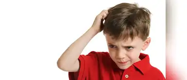 ¡Papis atentos! Conoce de la pediculosis, la eterna batalla que padecen muchos padres ¡Papis atentos! Conoce de la pediculosis, la eterna batalla que padecen muchos padres