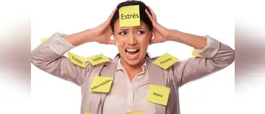 Horóscopo: Sigue estos consejos y olvídate del estrés Horóscopo: Sigue estos consejos y olvídate del estrés